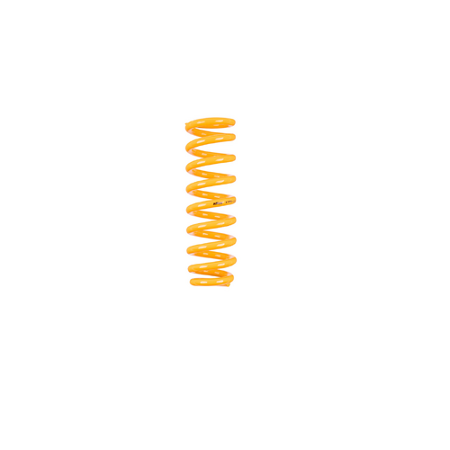 King Springs Rear Coil Springs RAISED